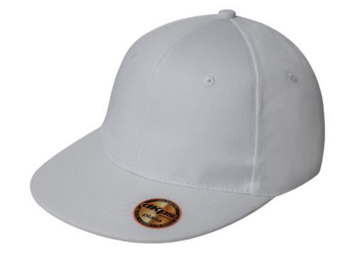 DKPS #270 GORRA PLANA Mod. 12-D000270-100-UN